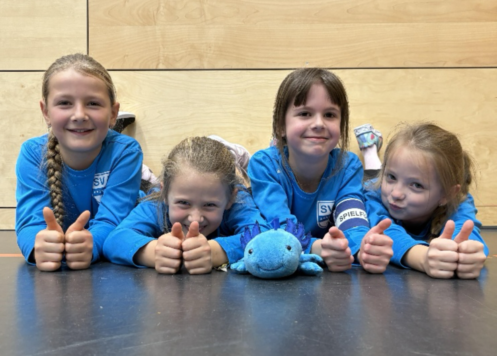 SV Amstetten Berichte Faustball