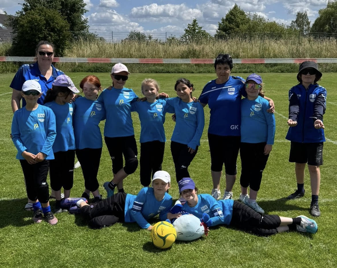SV Amstetten Berichte Faustball