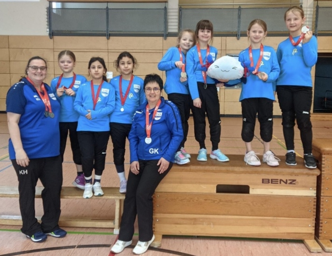 SV Amstetten Berichte Faustball