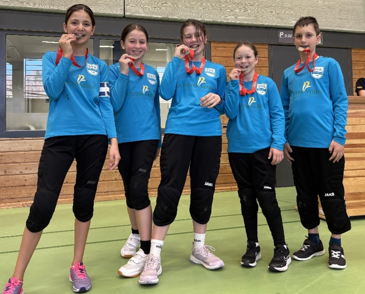 SV Amstetten Berichte Faustball
