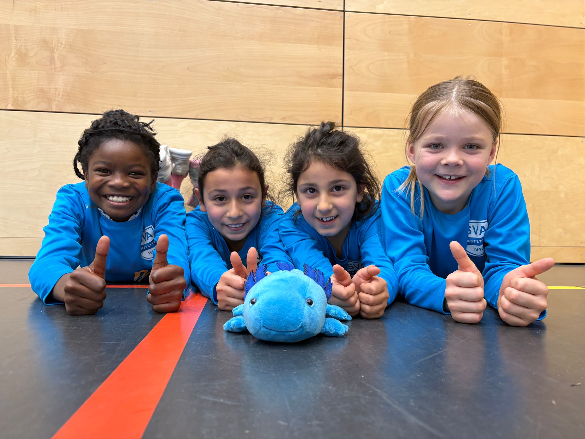 SV Amstetten Faustball U10 2 weiblich